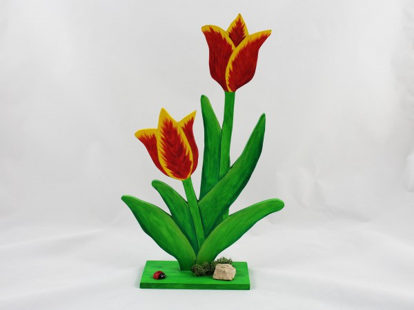 Große Tulpe in versch. Varianten